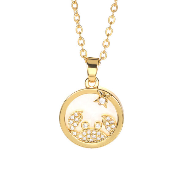 White Shell Round Brand Twelve Constellation Gold Coin Necklace - Image 9